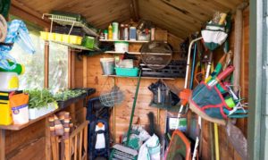 shed removal